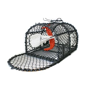 Krabbe, Kreps & Hummer