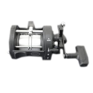 Snelle multiplikator osean