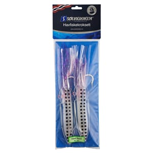 Kroksett blekksprut stor giant squid