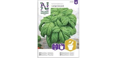 Frø basilikum salat