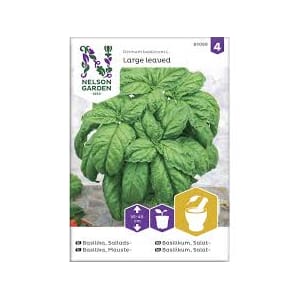 Frø basilikum salat