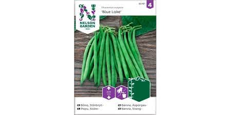 Frø bønne asparges blue lake