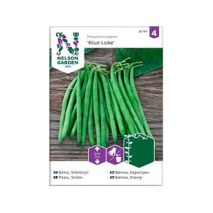 Frø bønne asparges blue lake