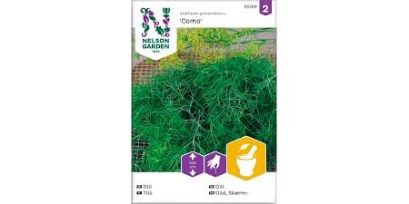 Frø dill skjerm como