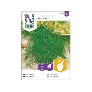 Frø dill blad bouqet