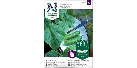 Frø agurk potte baby