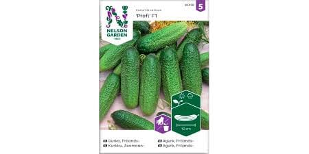 Frø agurk drueagurk frilands profi