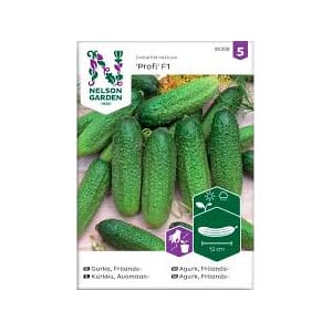 Frø agurk drueagurk frilands profi