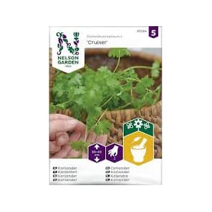 Frø koriander cruiser