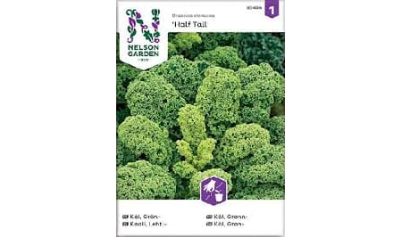 Frø kål grønn halvhøy