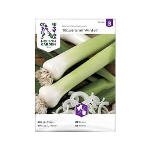 Frø purre blaugrunder winter