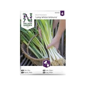 Frø løk pipe long white ishikura