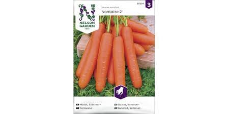 Frø gulrot sommer nantaise