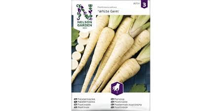 Frø pastinakk white gem