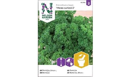 Frø persille krus moss curled 2