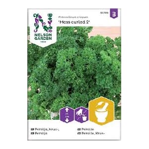 Frø persille krus moss curled 2