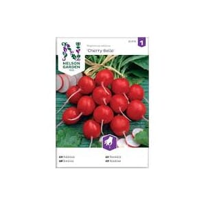 Frø reddik cherry belle