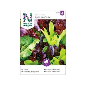 Frø salat baby leaf mix