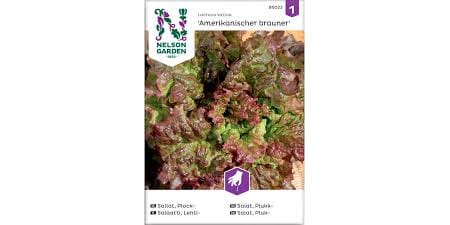 Frø salat plukk amerikanischer brauner