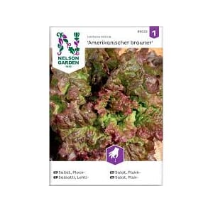 Frø salat plukk amerikanischer brauner