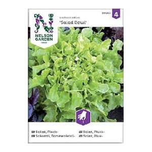 Frø salat plukk salad bowl