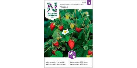 Frø jordbær måneds rugen