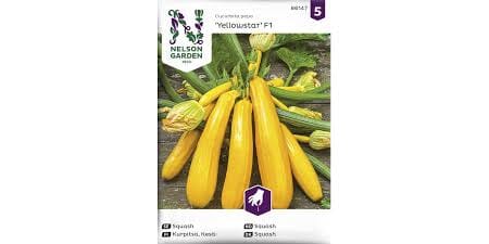 Frø sqash yellowstar f1