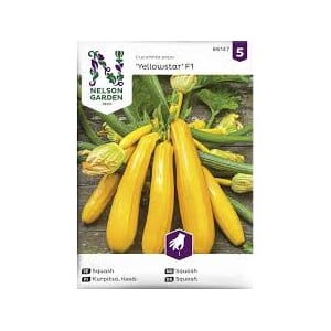 Frø sqash yellowstar f1