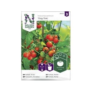 Frø tomat potte mini