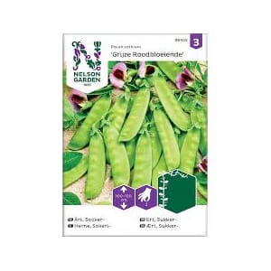 Frø ert sukker grijze