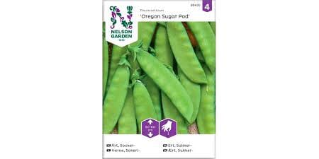 Frø ert sukker oregon sugar pod