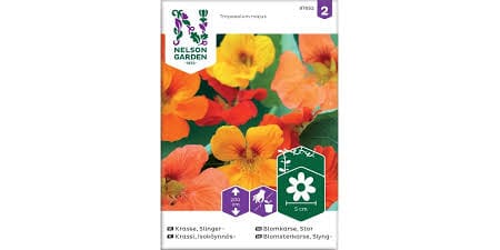 Frø blomkarse stor blanding