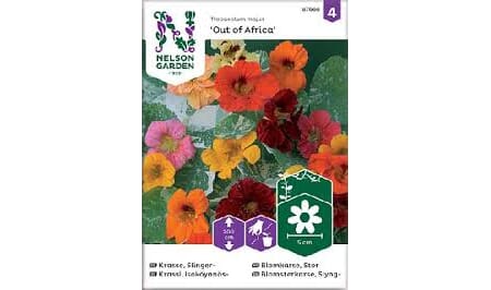 Frø blomkarse out of afrika