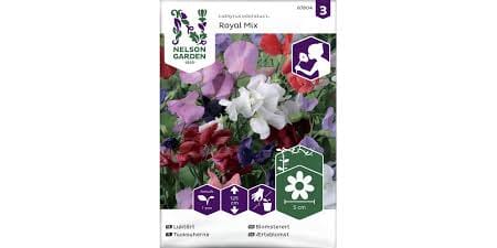 Frø blomstrete royal mix