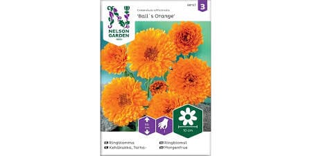 Frø ringblomst balls orange