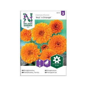 Frø ringblomst balls orange