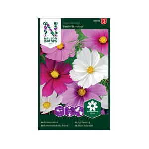 Frø pyntekorg early summer