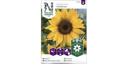 Frø solsikke kjempe gul