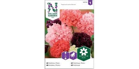 Frø valmue pion mix