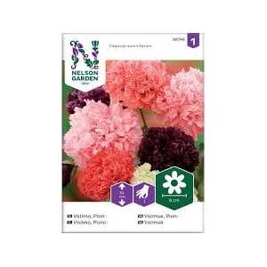 Frø valmue pion mix