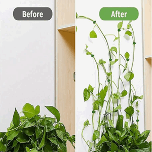 Veggklips for klatreblomster 5stk