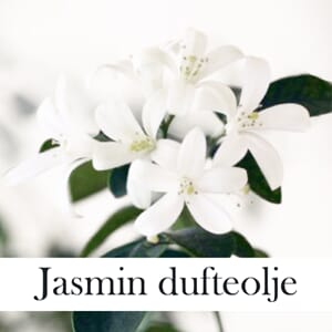 Duft olje jasmine dufteolje 10ml