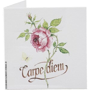 Kort til gaver carpe diem 6x6cm