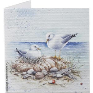 Kort til gaver maritimt 6x6cm måker