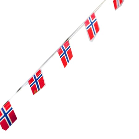 Flaggrekke girlander norske flagg 2x2meter