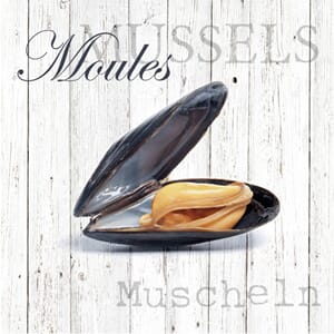 Serviett mussling skjell maritim 20pk 33x33cm