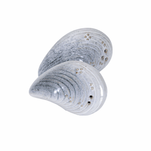 Salt & pepper musling sett 10cm
