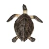A Skilpadde 30cm tortoise nature