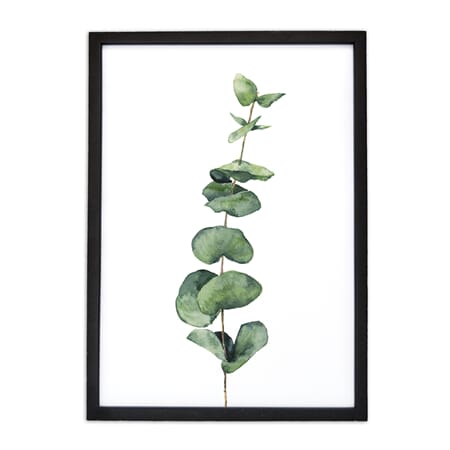 Bilde grønn plante A3