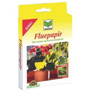 Fluepapir gult for blomsterpotter inne mot småfluer aeroxon